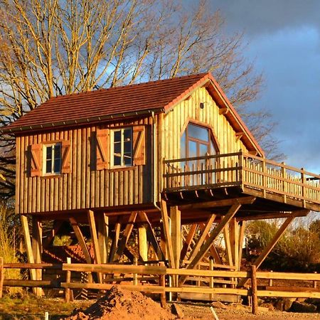 Les Cabanes Des Fontaines Saint-Sernin-du-Bois المظهر الخارجي الصورة
